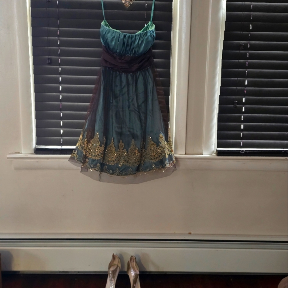 Prom/wedding guest dress with shoes and jewelry